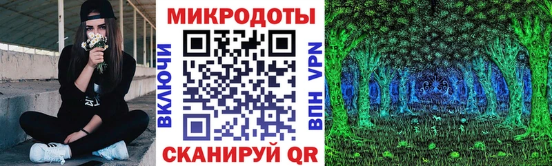 Галлюциногенные грибы Psilocybine cubensis  Вичуга 